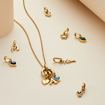 Customized Necklace (Chain & Charms)